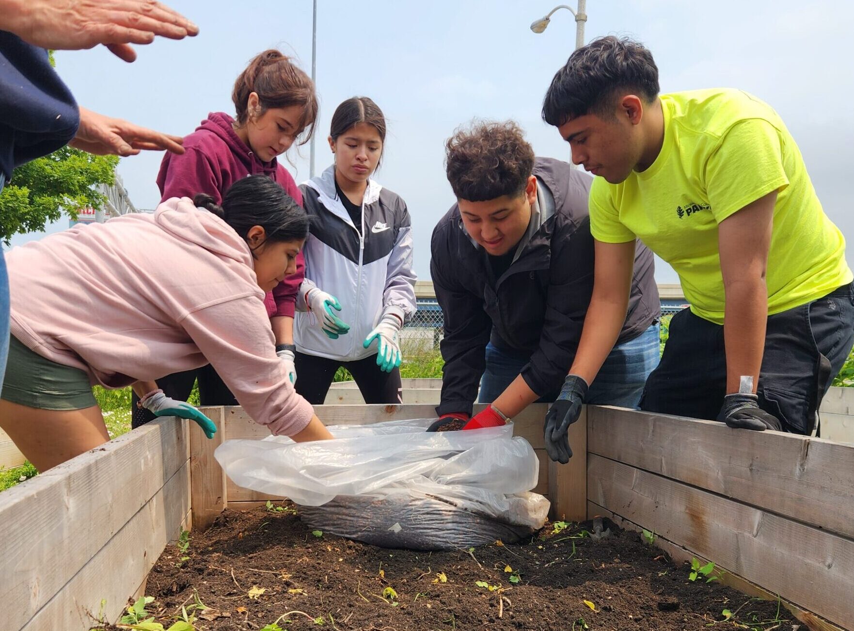 In the News: Milwaukee teens give South Side community garden a new life